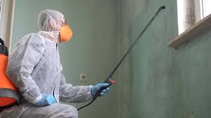 Mold Remediation for Rental Properties in Murphys, CA